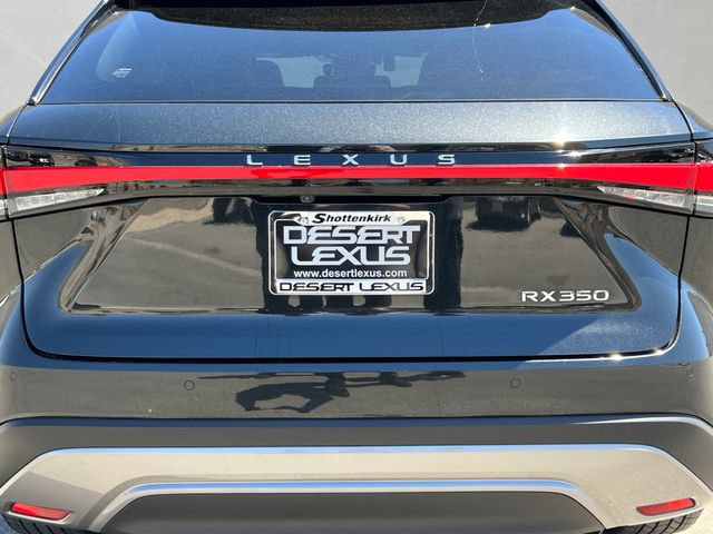 Used 2023 Lexus RX 350 Premium Plus w/ Cold Area Package FWD image 10