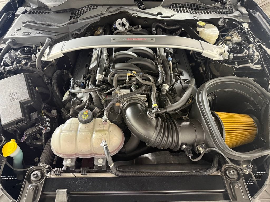 Used 2018 Ford Mustang Shelby GT350 w/ Convenience Package RWD image 24