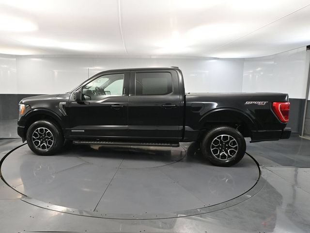Used 2022 Ford F150 XLT w/ Equipment Group 301A Mid AWD/4WD image 7
