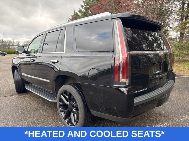 Used 2020 Cadillac Escalade Luxury w/ LPO, Radiant Package AWD/4WD image 5