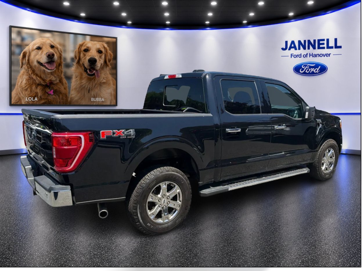 Used 2023 Ford F150 XLT w/ Equipment Group 302A High AWD/4WD image 6