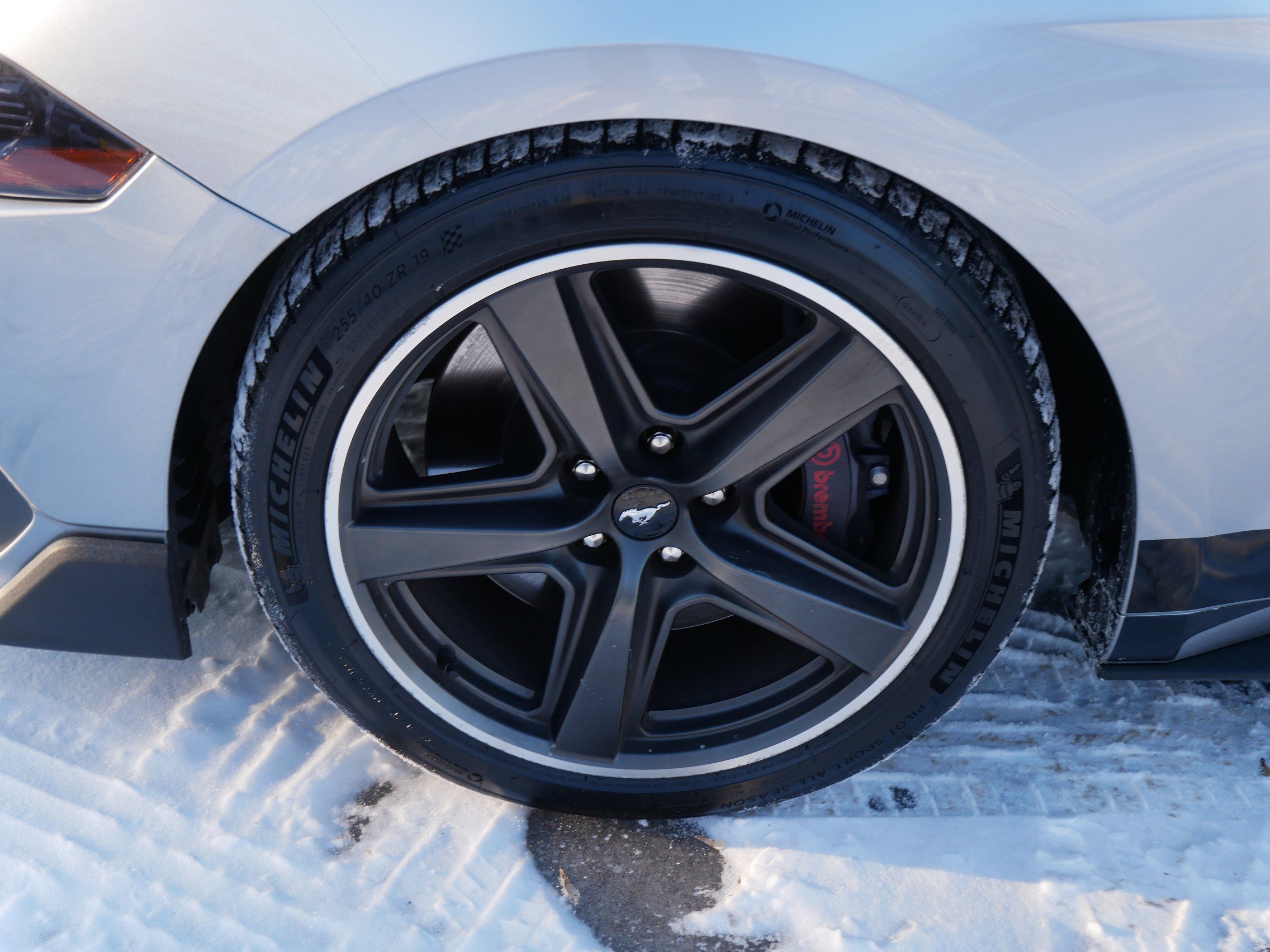 Used 2021 Ford Mustang Mach 1 w/ Equipment Group 700A image 15