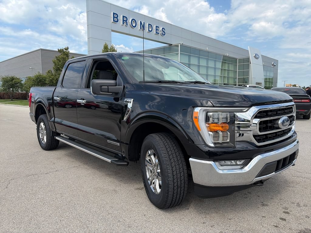 Used 2023 Ford F150 XLT w/ Equipment Group 302A High
