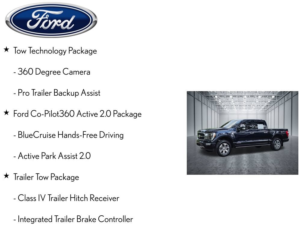 Used 2021 Ford F150 Platinum w/ Equipment Group 701A High RWD image 4