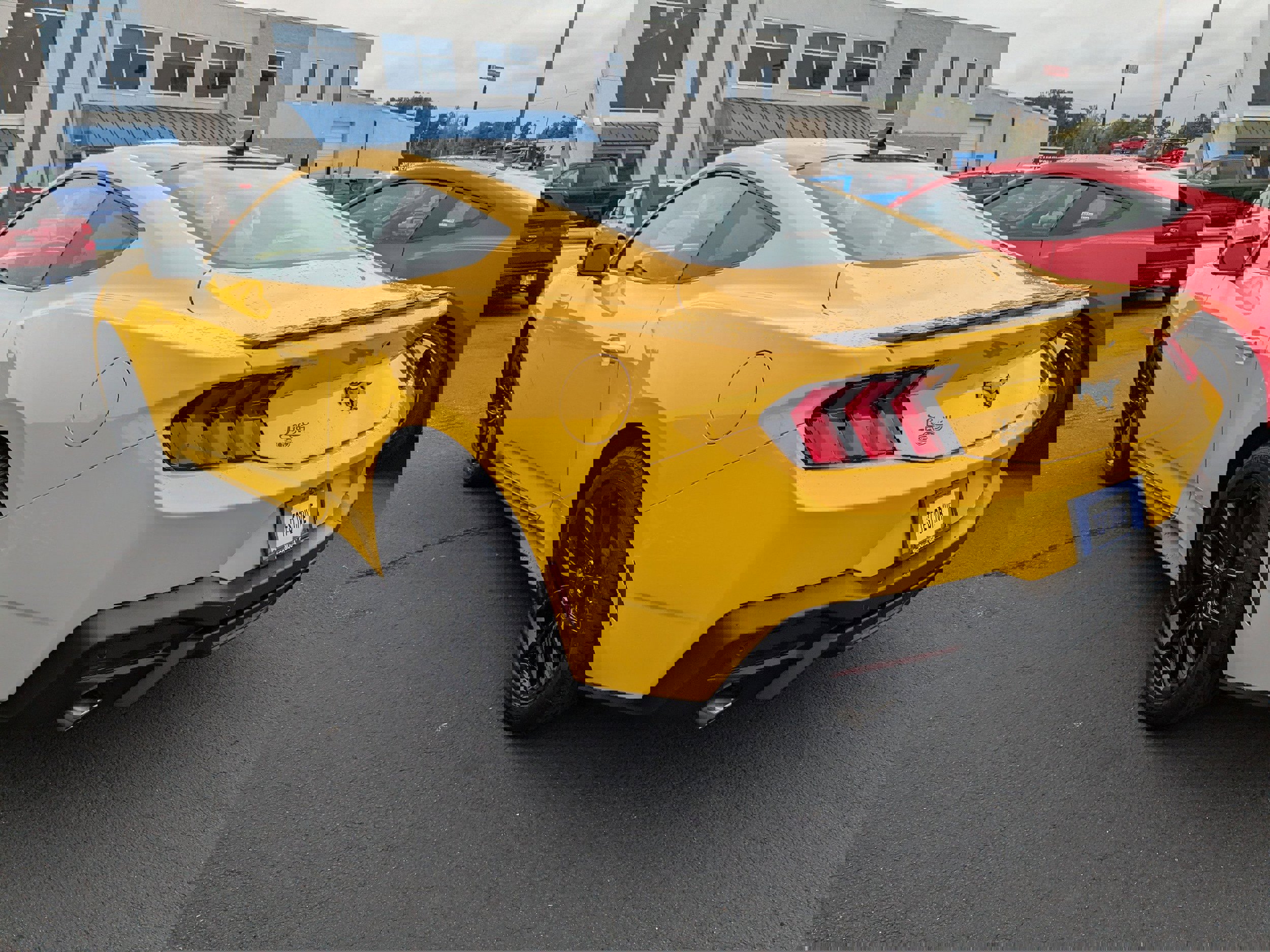 New 2024 Ford Mustang Premium RWD image 5