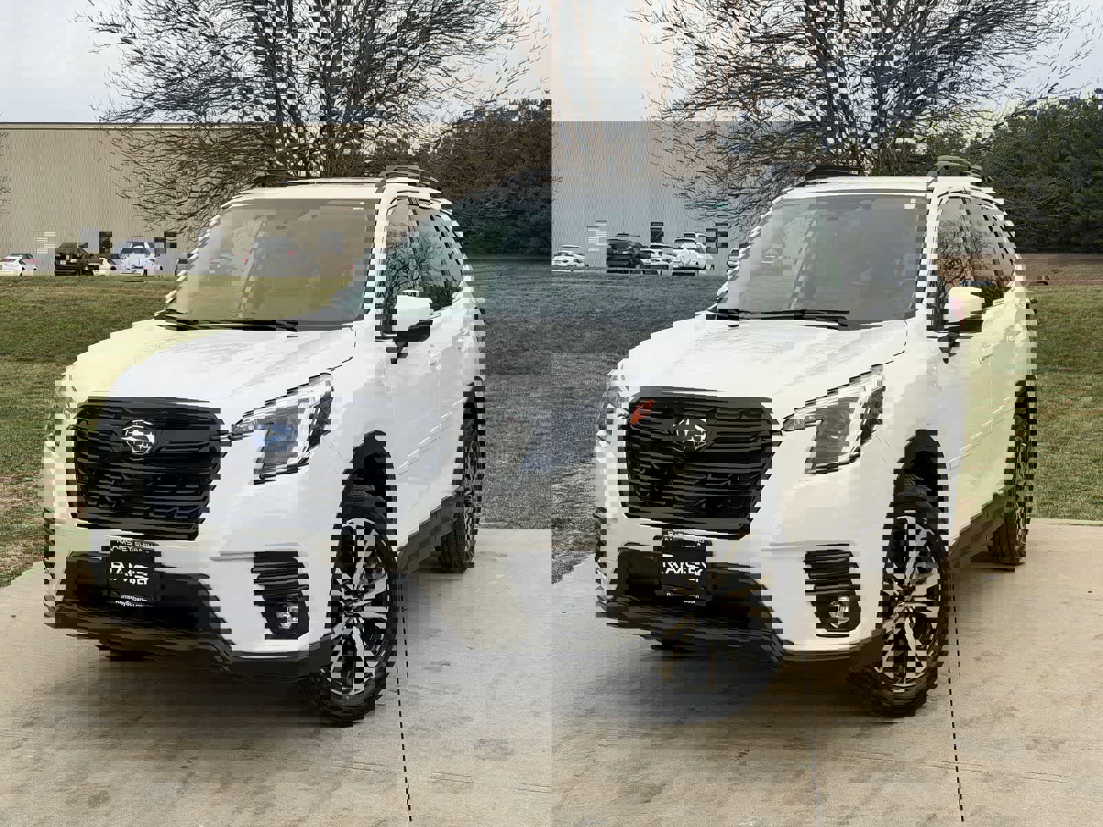 Certified 2024 Subaru Forester Limited image 1