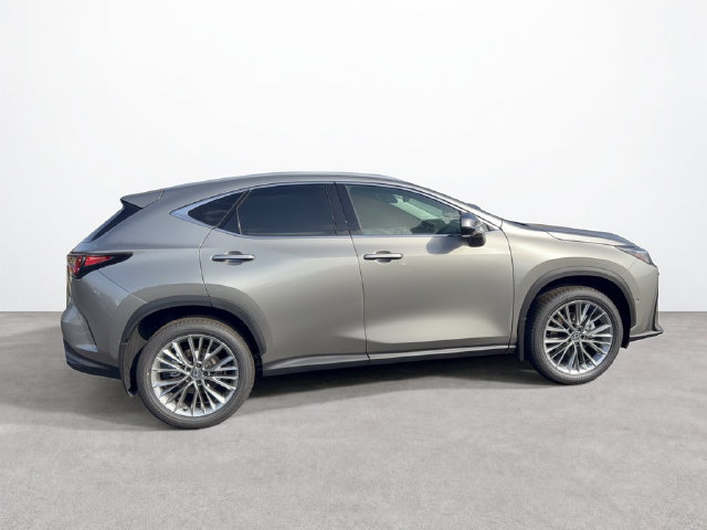 New 2026 Lexus NX 350 AWD w/ Accessory Package (Z2) image 6