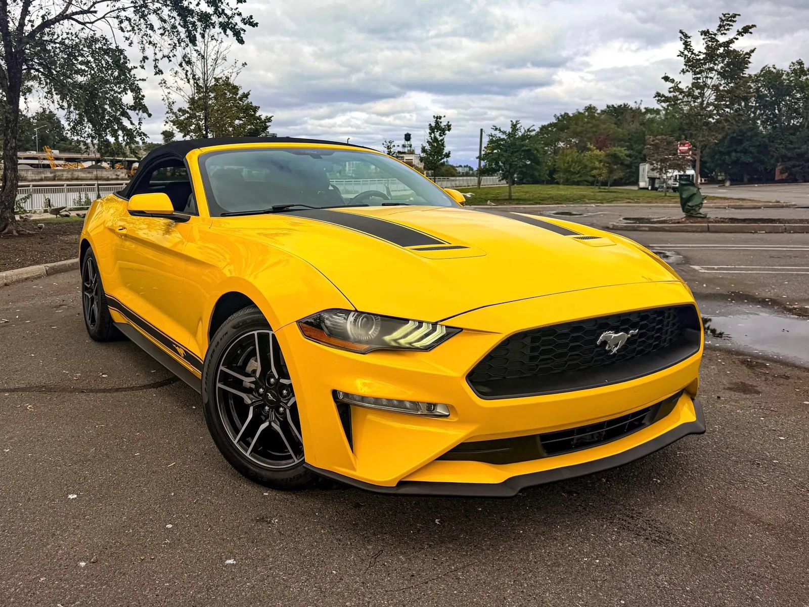 Used 2018 Ford Mustang Premium w/ Equipment Group 201A RWD image 2