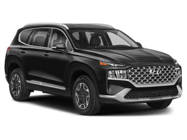 Used 2023 Hyundai Santa Fe Blue AWD/4WD image 9