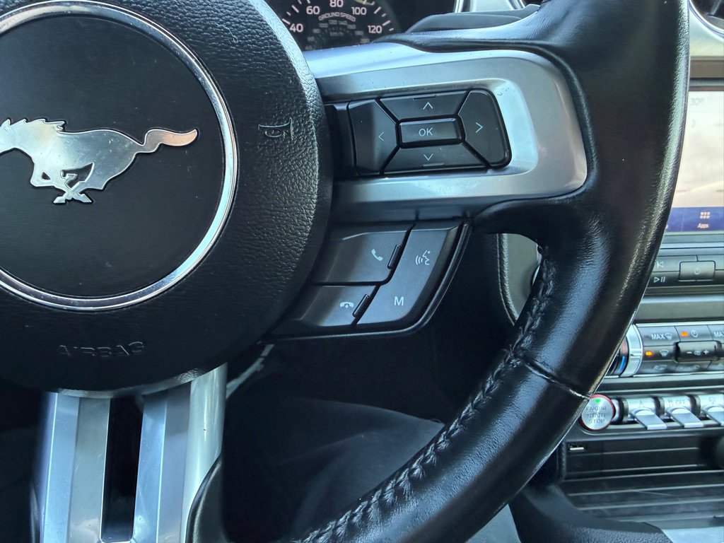 Used 2023 Ford Mustang Premium w/ Mustang Nite Pony Package image 22