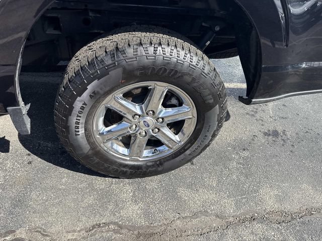 Used 2025 Ford F150 XLT w/ Equipment Group 301A Standard AWD/4WD image 15