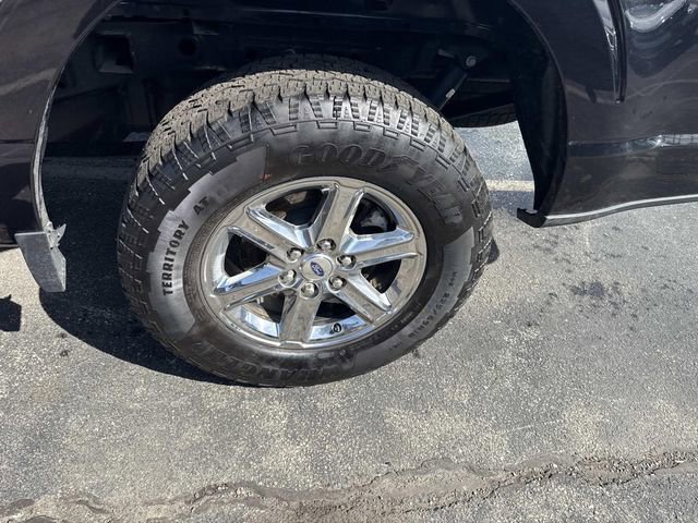 Used 2025 Ford F150 XLT w/ Equipment Group 301A Standard AWD/4WD image 15