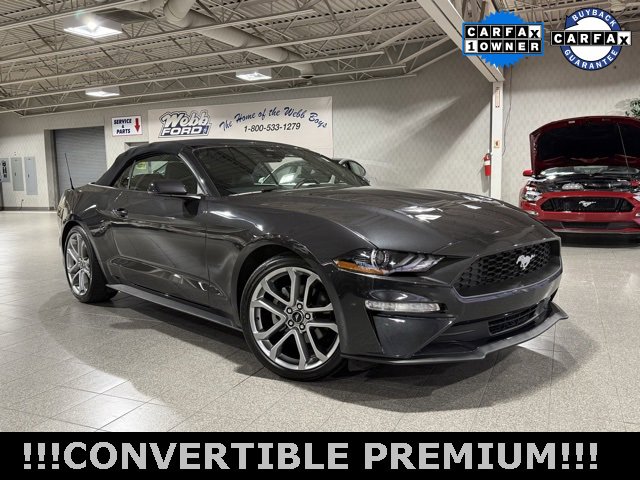 Used 2022 Ford Mustang Premium w/ Equipment Group 201A image 2