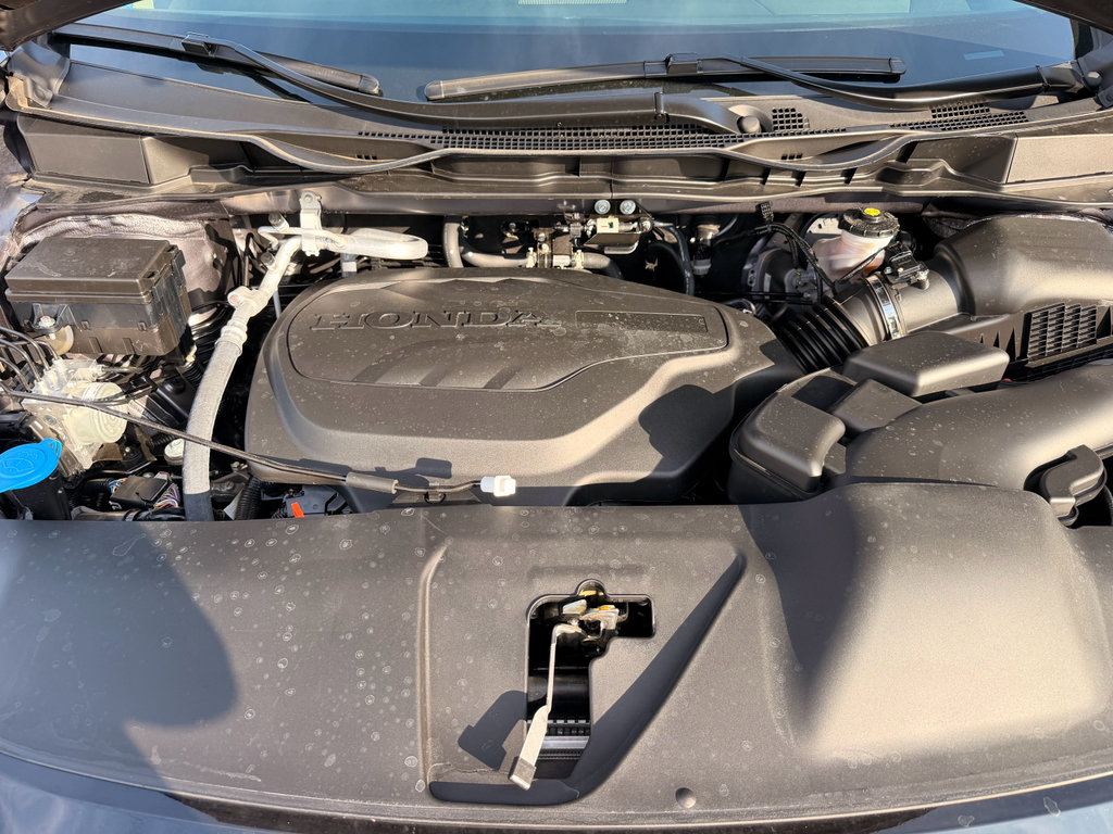 Certified 2026 Honda Odyssey Elite image 34