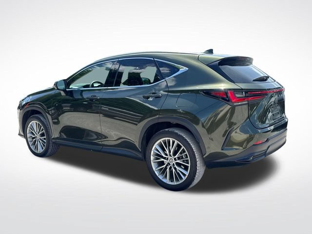 Used 2025 Lexus NX 350 AWD w/ Cold Area Package image 3