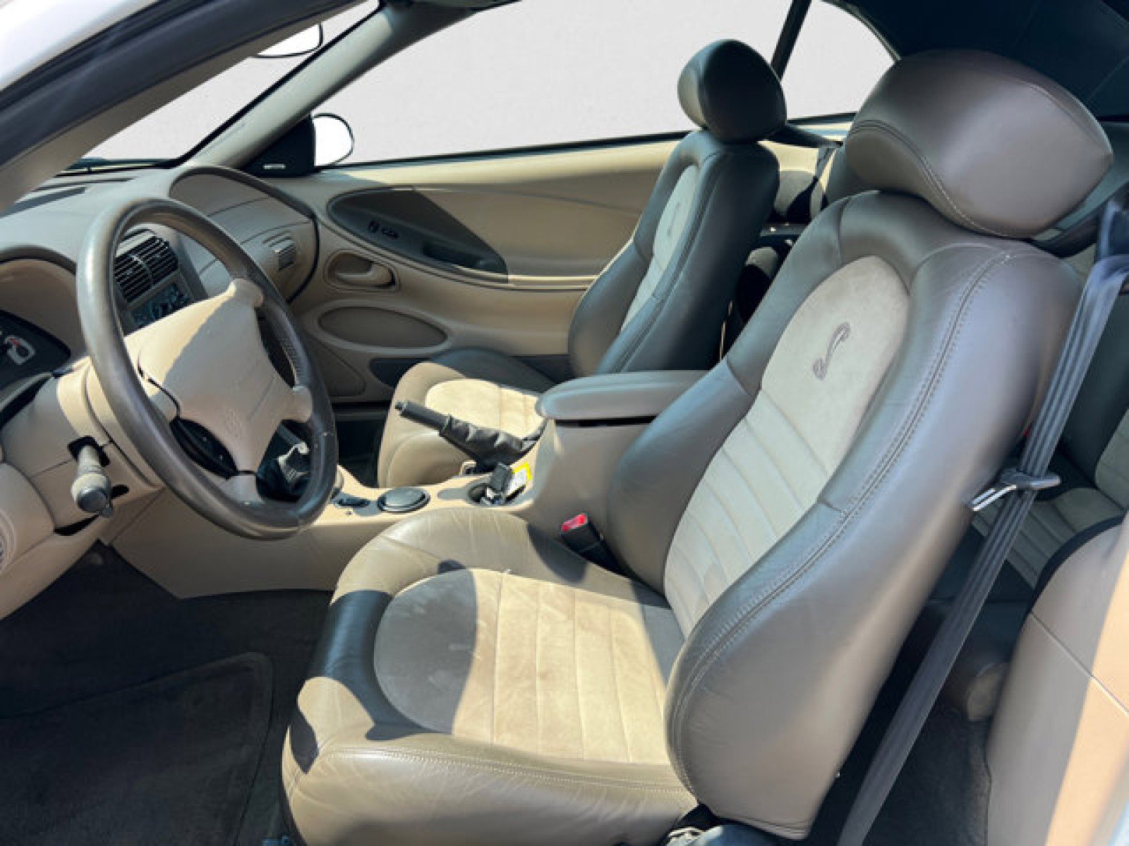 Used 2001 Ford Mustang Cobra image 10