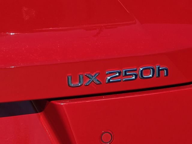 Used 2020 Lexus UX 250h w/ Premium Package image 8