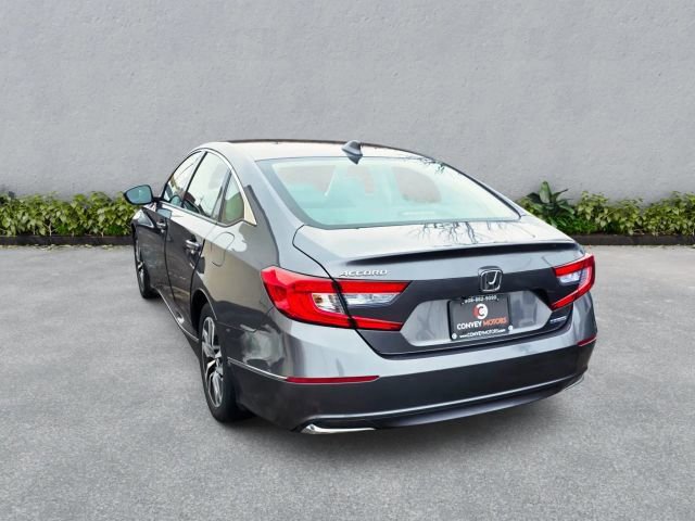 Used 2019 Honda Accord EX-L image 8