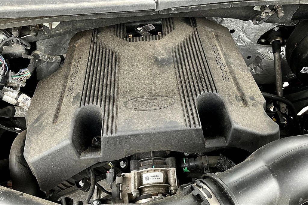 Used 2019 Ford F150 XLT w/ Equipment Group 302A Luxury AWD/4WD image 28