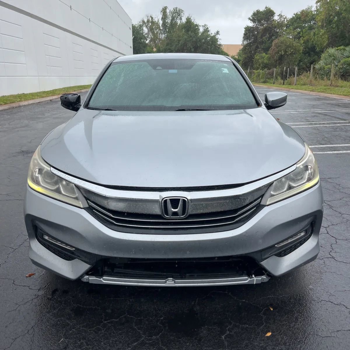 Used 2017 Honda Accord Sport image 14