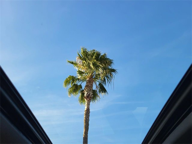 Used 2020 Honda Civic EX image 10