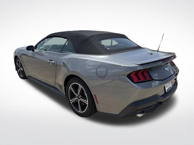 Used 2024 Ford Mustang Premium RWD image 8