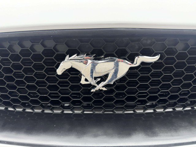 Used 2018 Ford Mustang Premium RWD image 11