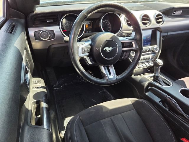 Used 2020 Ford Mustang EcoBoost w/ Equipment Group 101A image 5