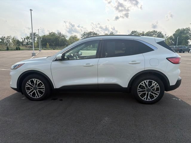 Used 2020 Ford Escape SEL FWD image 15