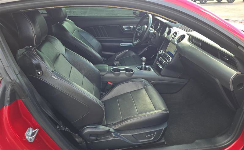 Used 2023 Ford Mustang GT Premium w/ Mustang Nite Pony Package image 8