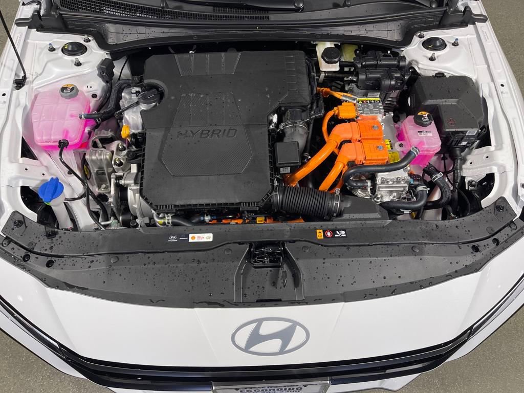 New 2025 Hyundai Elantra Limited image 9