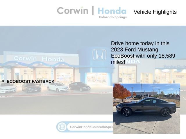 Used 2023 Ford Mustang Coupe image 7