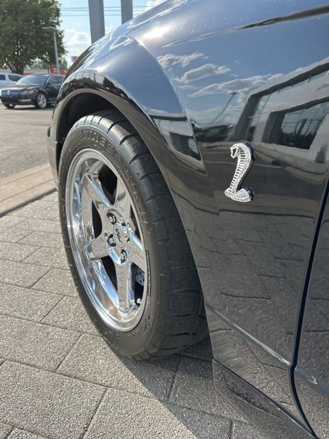 Used 2004 Ford Mustang Cobra RWD image 14