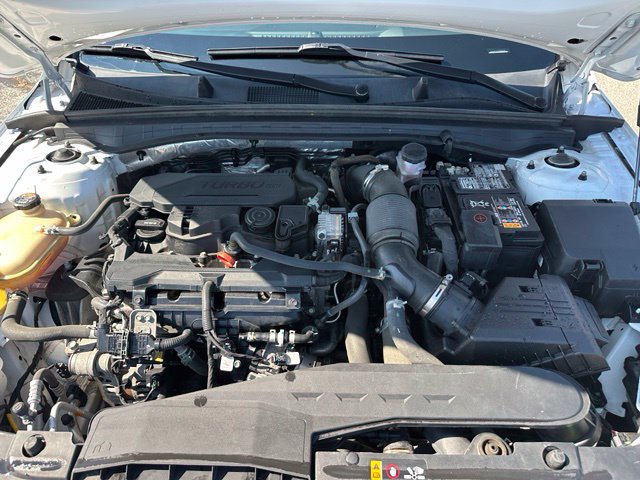 Used 2023 Kia K5 GT-Line w/ GT-Line Premium Package FWD image 13