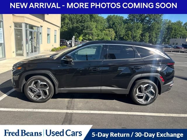 Used 2023 Hyundai Tucson Limited AWD/4WD image 6