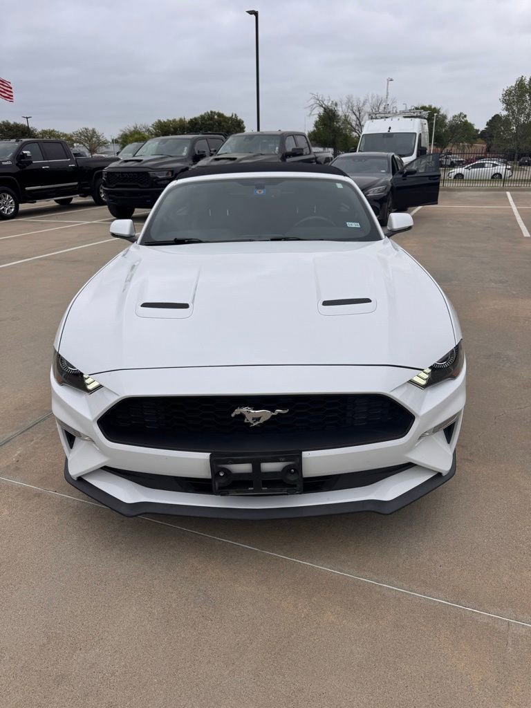 Used 2020 Ford Mustang Premium image 1