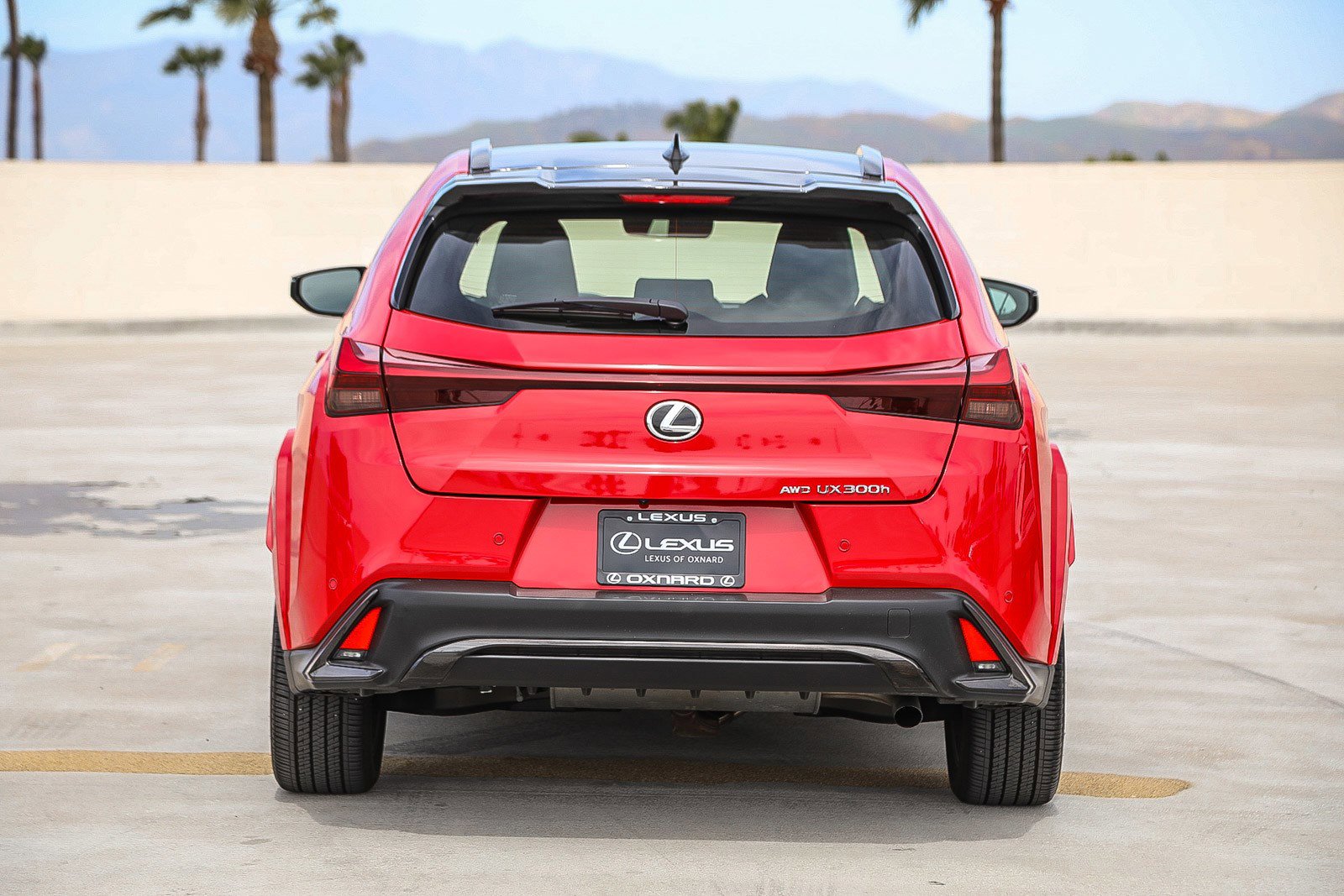 Used 2025 Lexus UX 300h AWD w/ Cold Area Package image 6