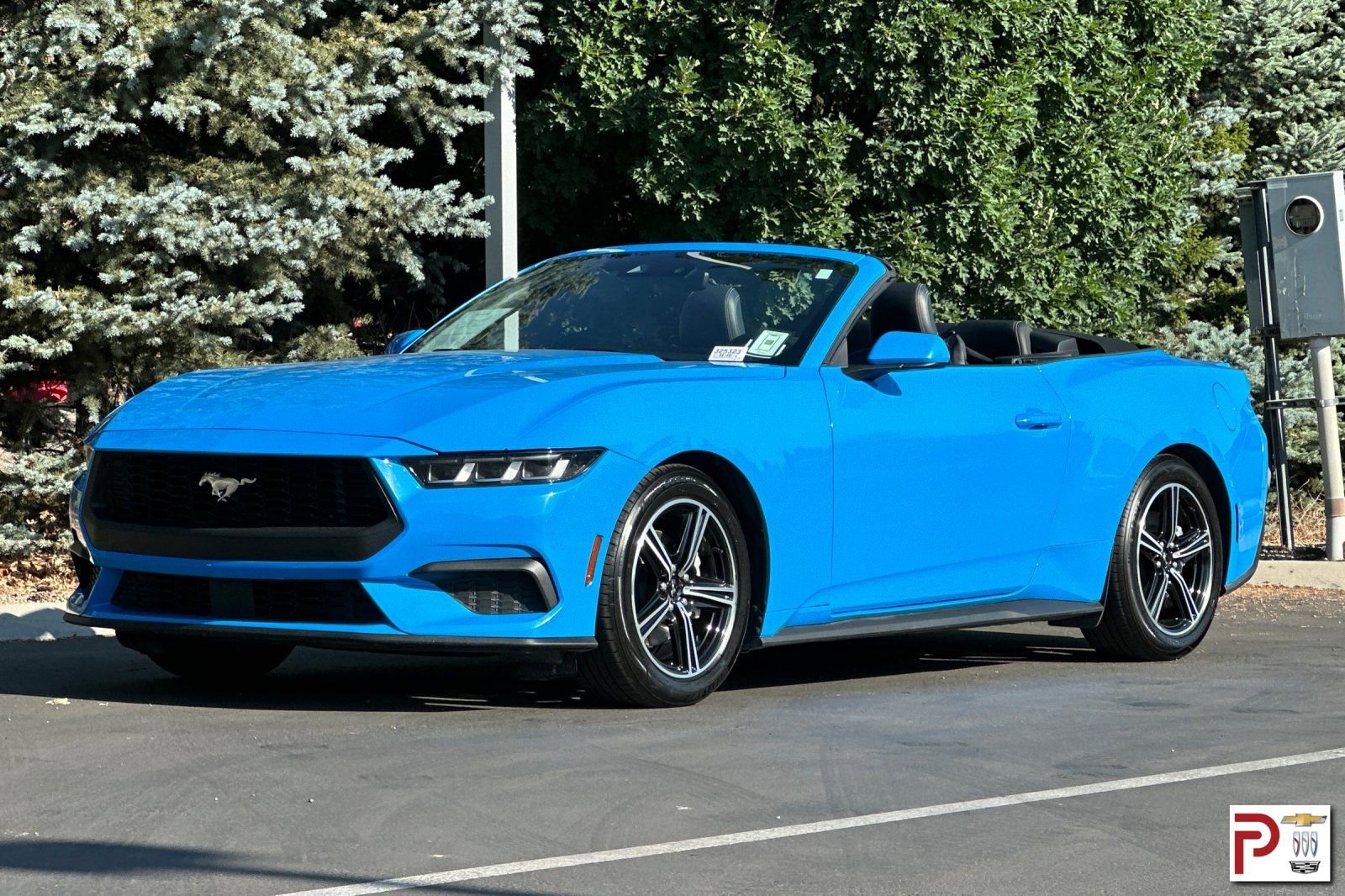 Used 2024 Ford Mustang Premium image 9
