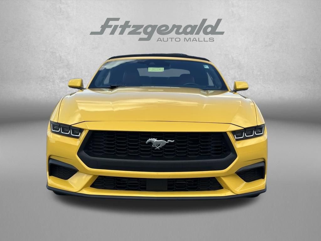 Used 2024 Ford Mustang Premium RWD image 3