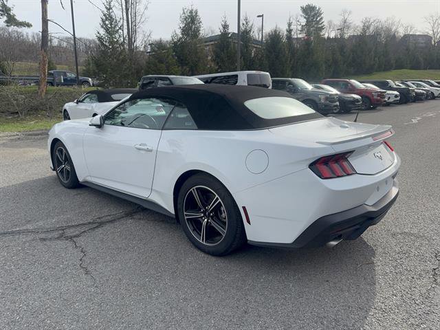 Used 2024 Ford Mustang Premium image 8