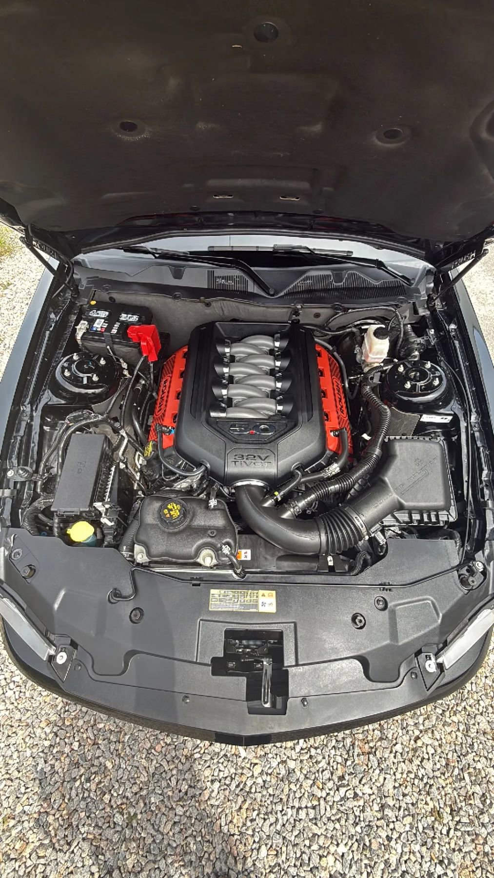 Used 2012 Ford Mustang GT Premium w/ HID Headlamps & Security Pkg RWD image 15