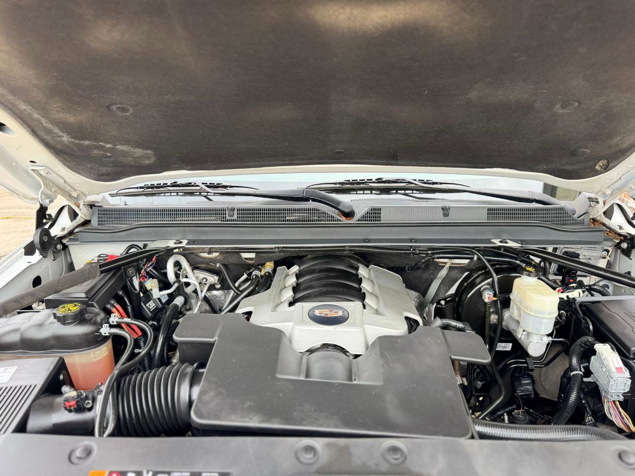 Used 2019 Cadillac Escalade Luxury RWD image 15