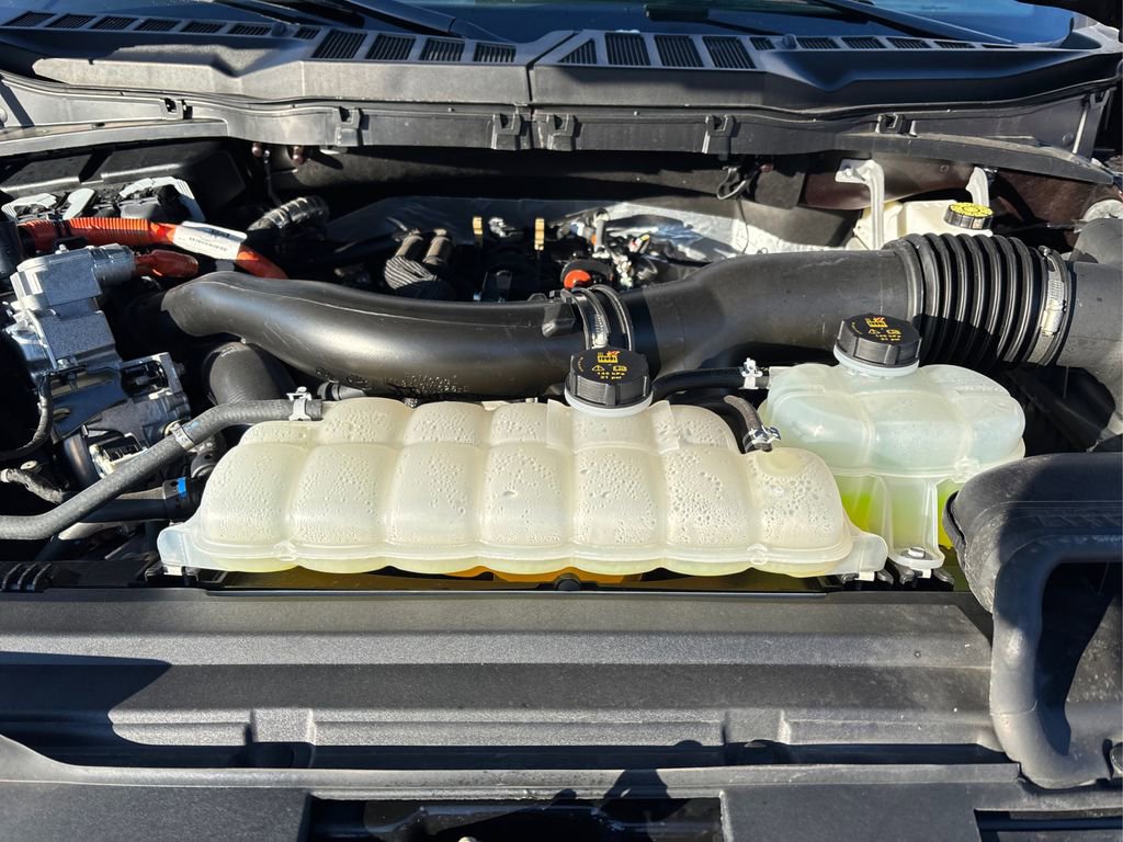 Used 2025 Ford F150 XLT w/ Equipment Group 302A MID image 12