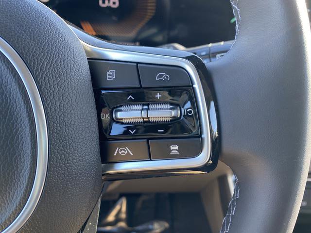 New 2026 Kia Carnival image 29