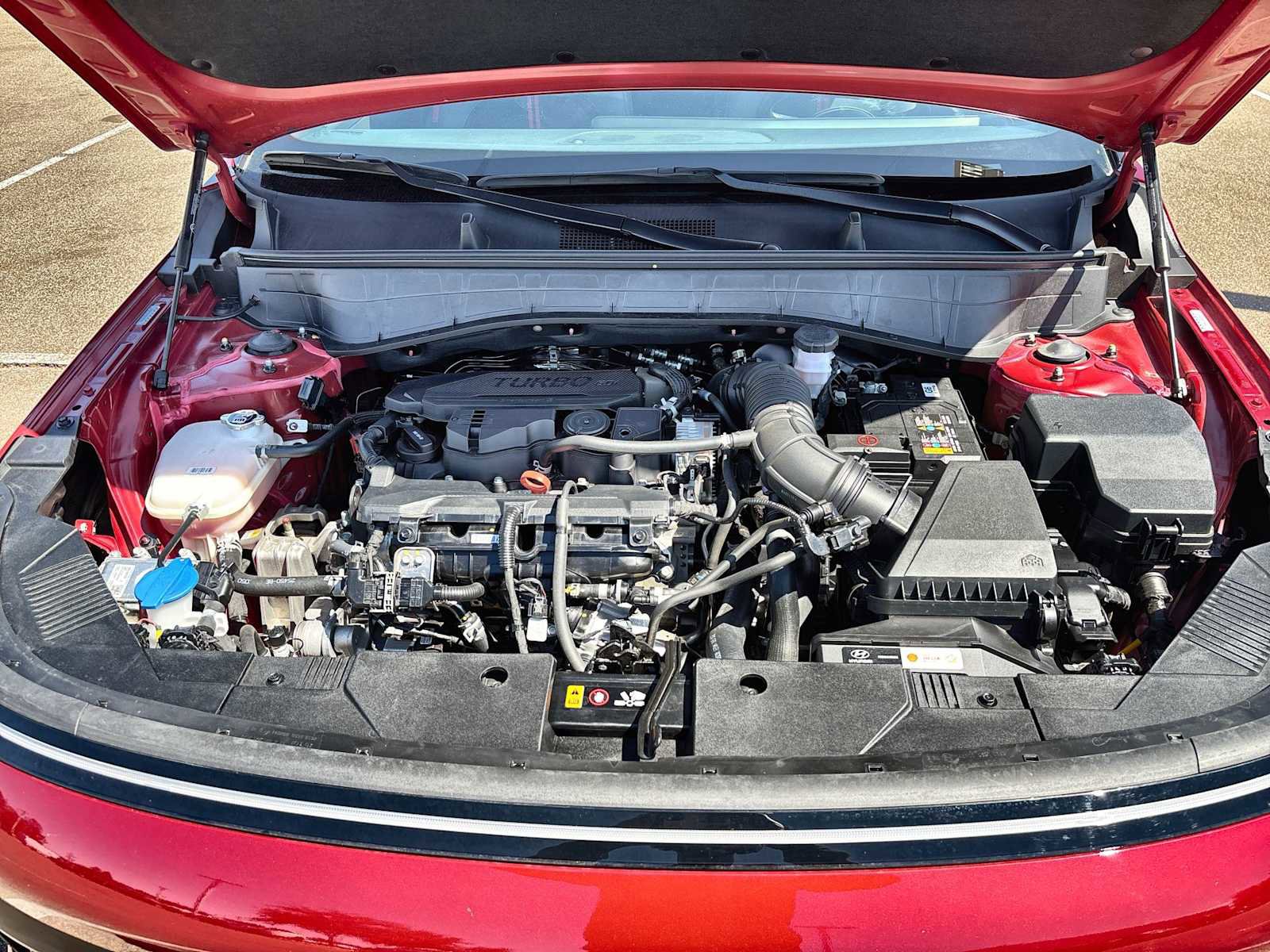 Used 2024 Hyundai Kona N Line image 13