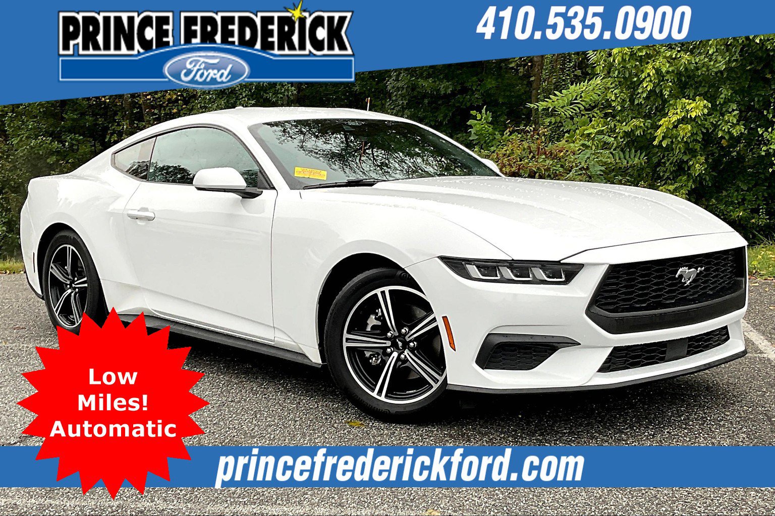 Used 2024 Ford Mustang Coupe