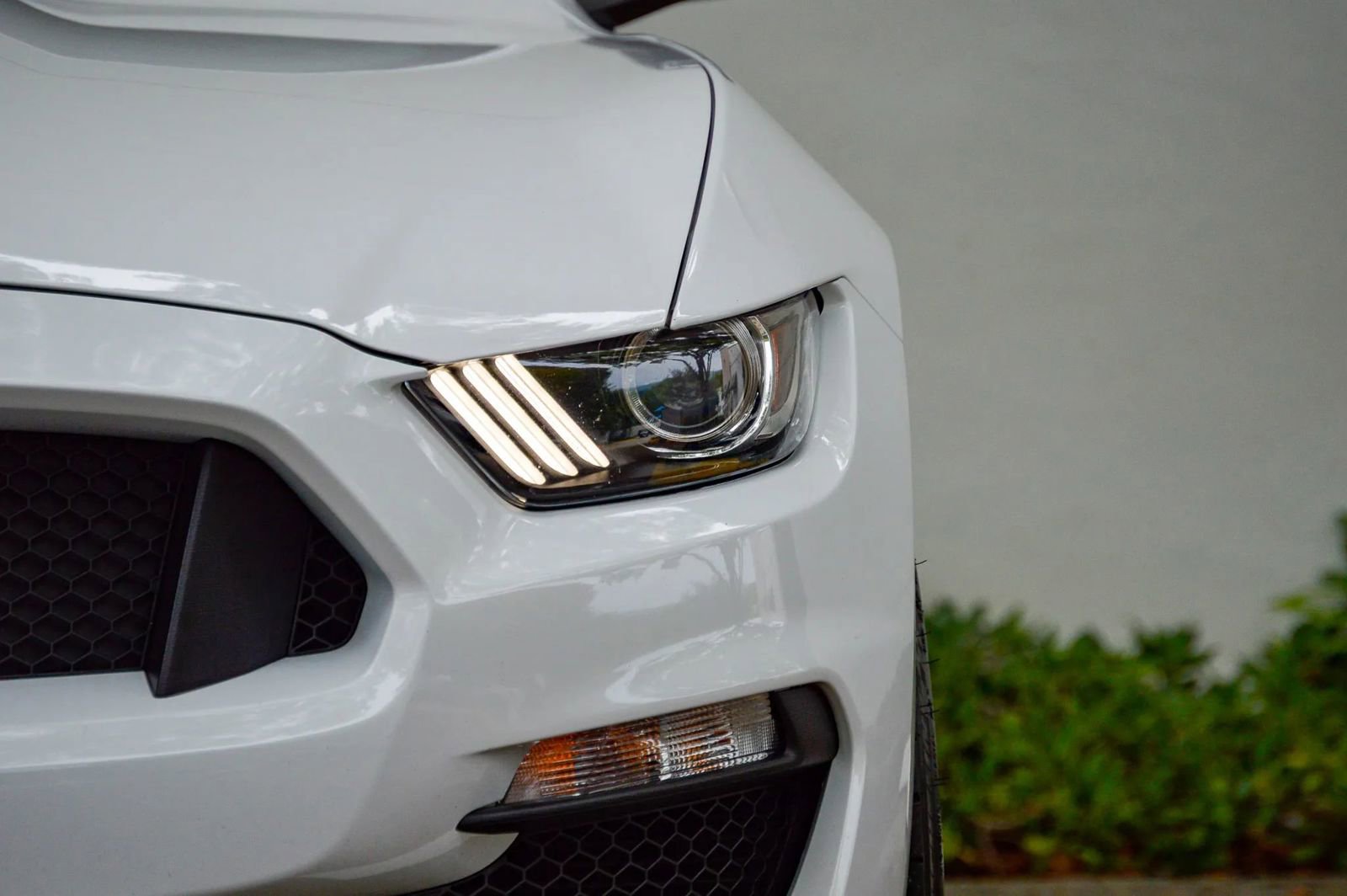 Used 2018 Ford Mustang Shelby GT350 w/ Convenience Package RWD image 27