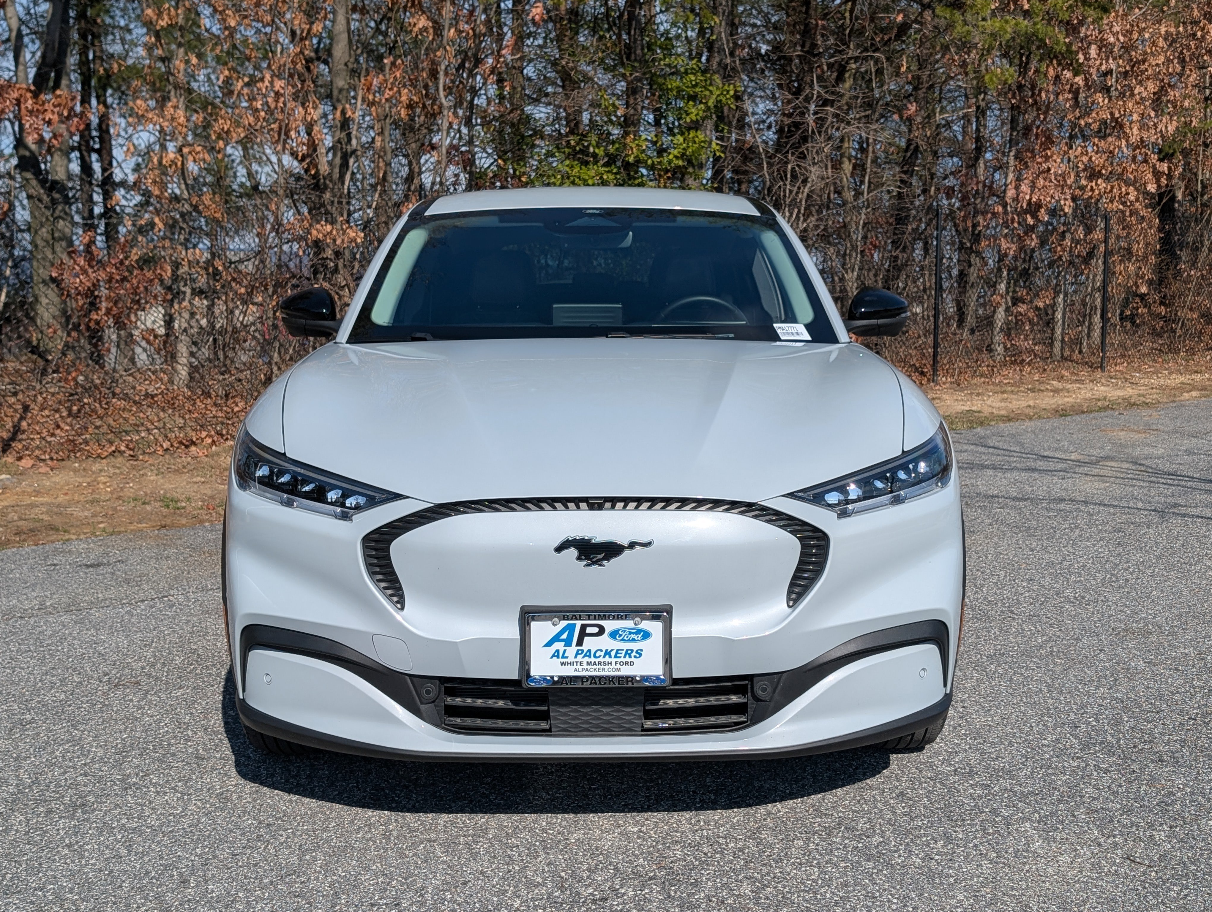 Certified 2023 Ford Mustang Mach-E Select image 8