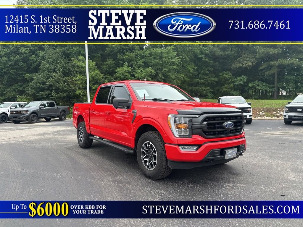Used 2023 Ford F150 XLT w/ Equipment Group 302A High AWD/4WD image 1