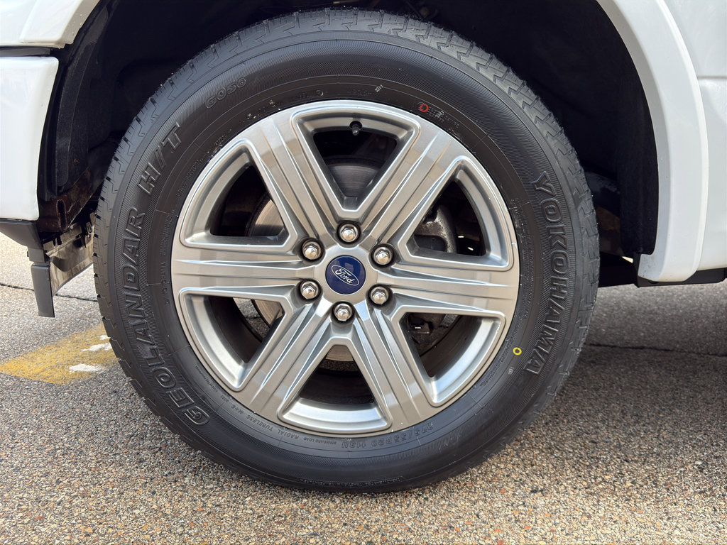 Used 2019 Ford F150 XLT w/ Equipment Group 302A Luxury image 10